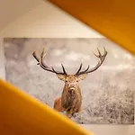 Apartmenthaus Matri By Pferd Auf Wolke Wald am Arlberg